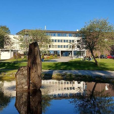 Havila Hotel Ivar Aasen Orsta Exteriér fotografie